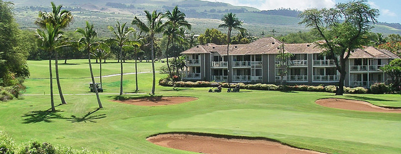 [Wailea Grand Champions]